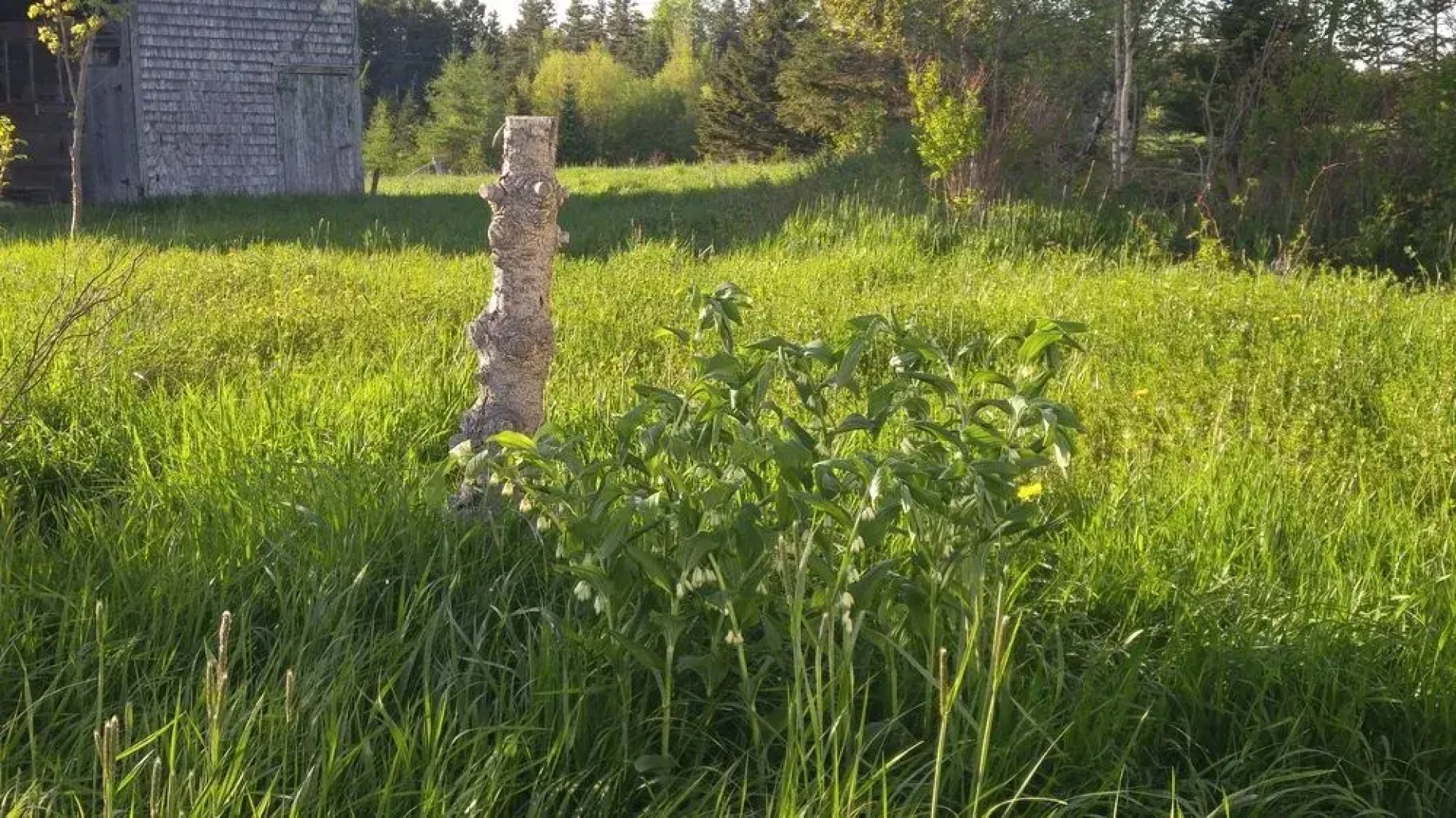 Windsbreath Celebrations and Retreats