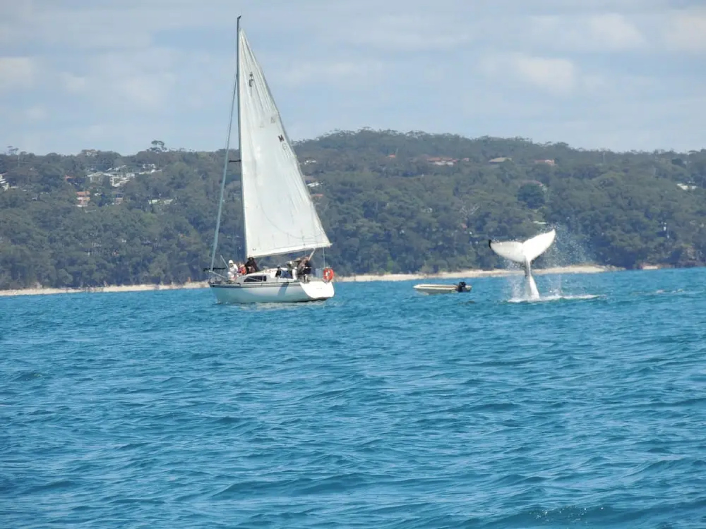 Paradise Bungalow Waterfront