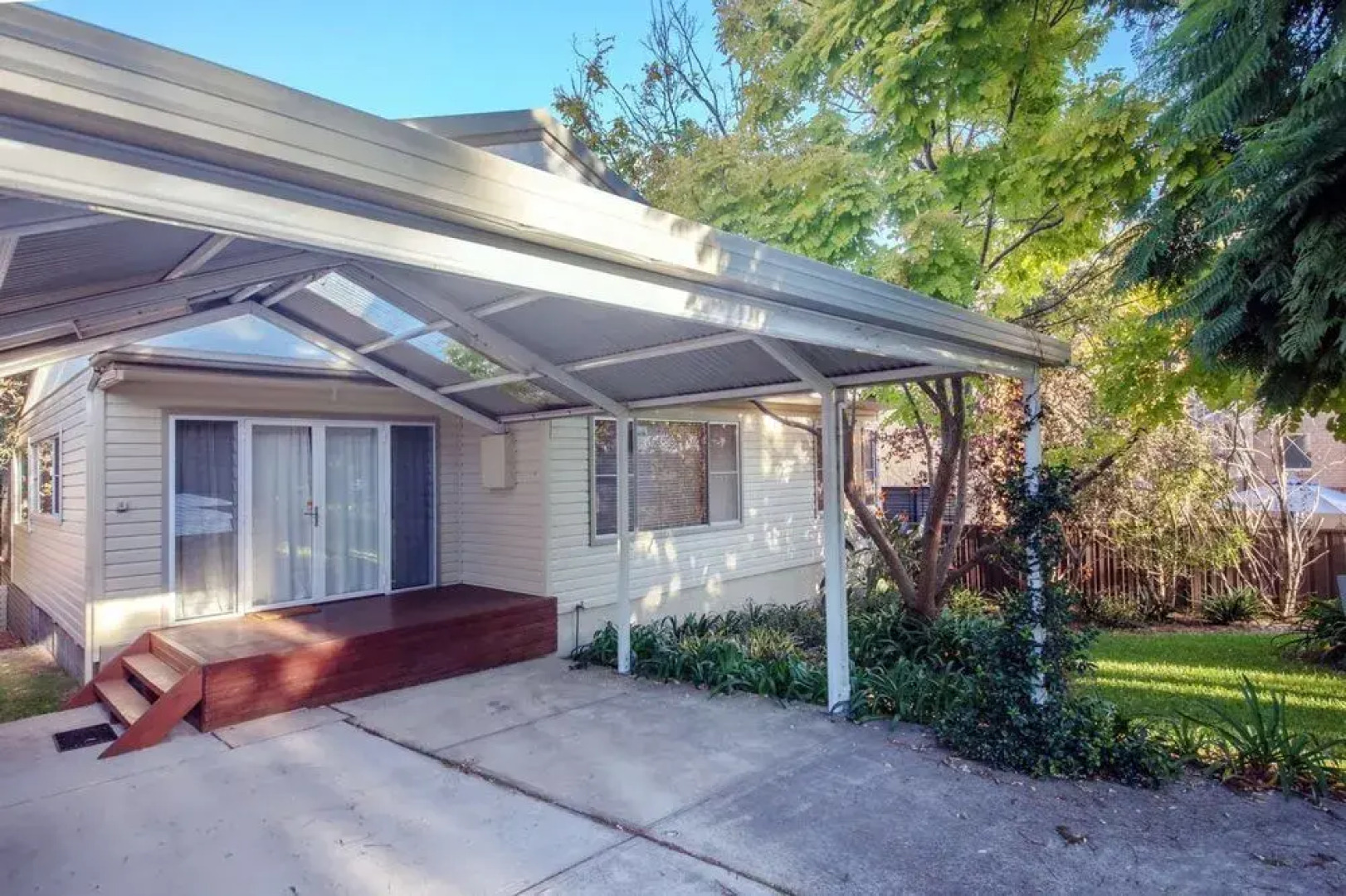 Christmas Bush Avenue No.11