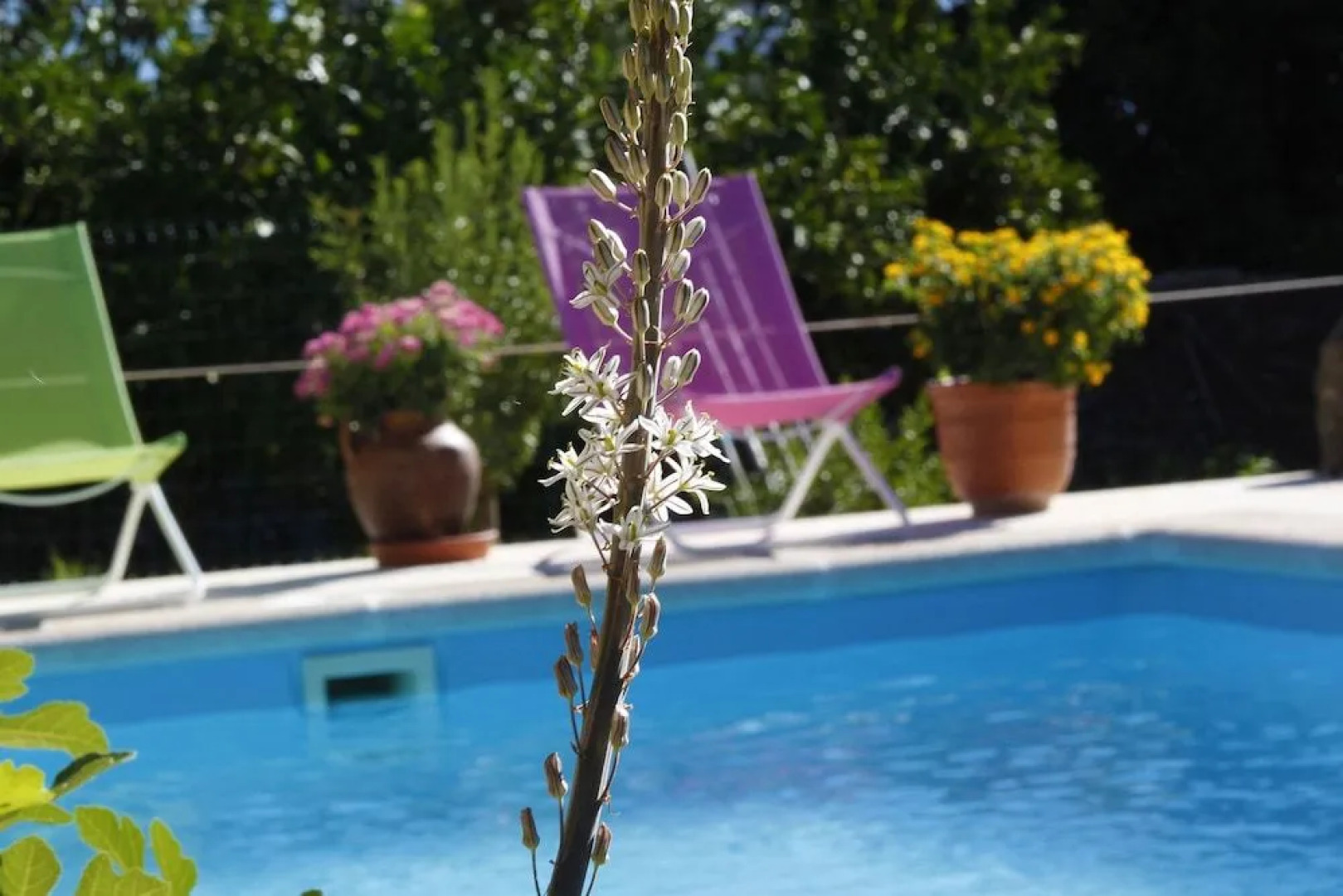 Apartamentos Rurales La Solana