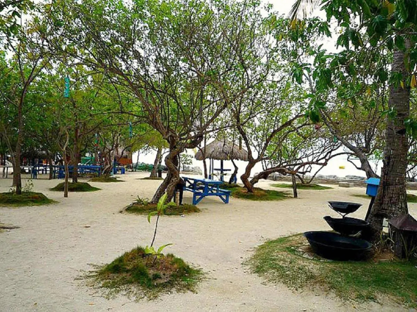 Nalusuan Island Resort and Marine Sanctuary