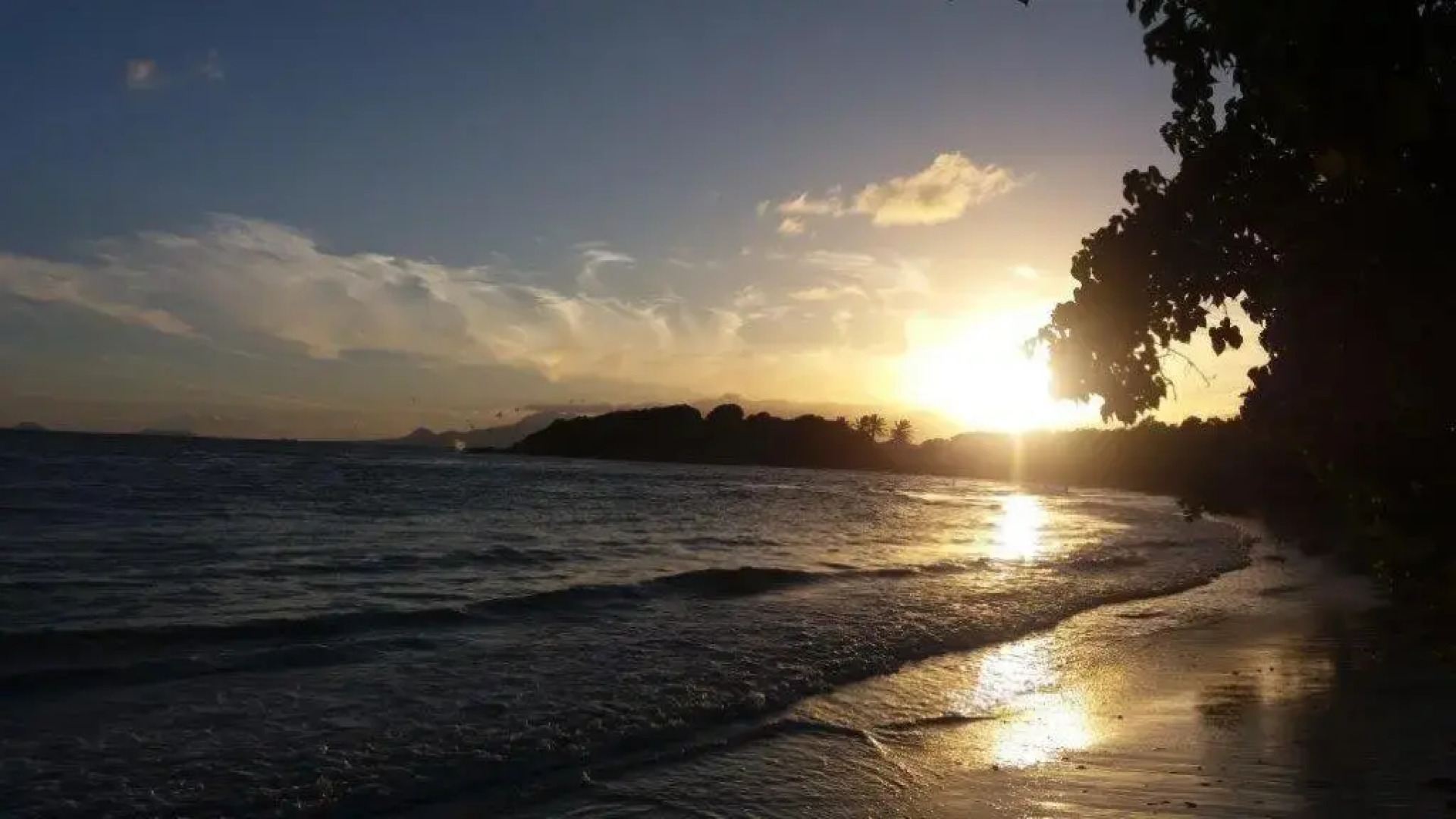 Residence Palm Beach