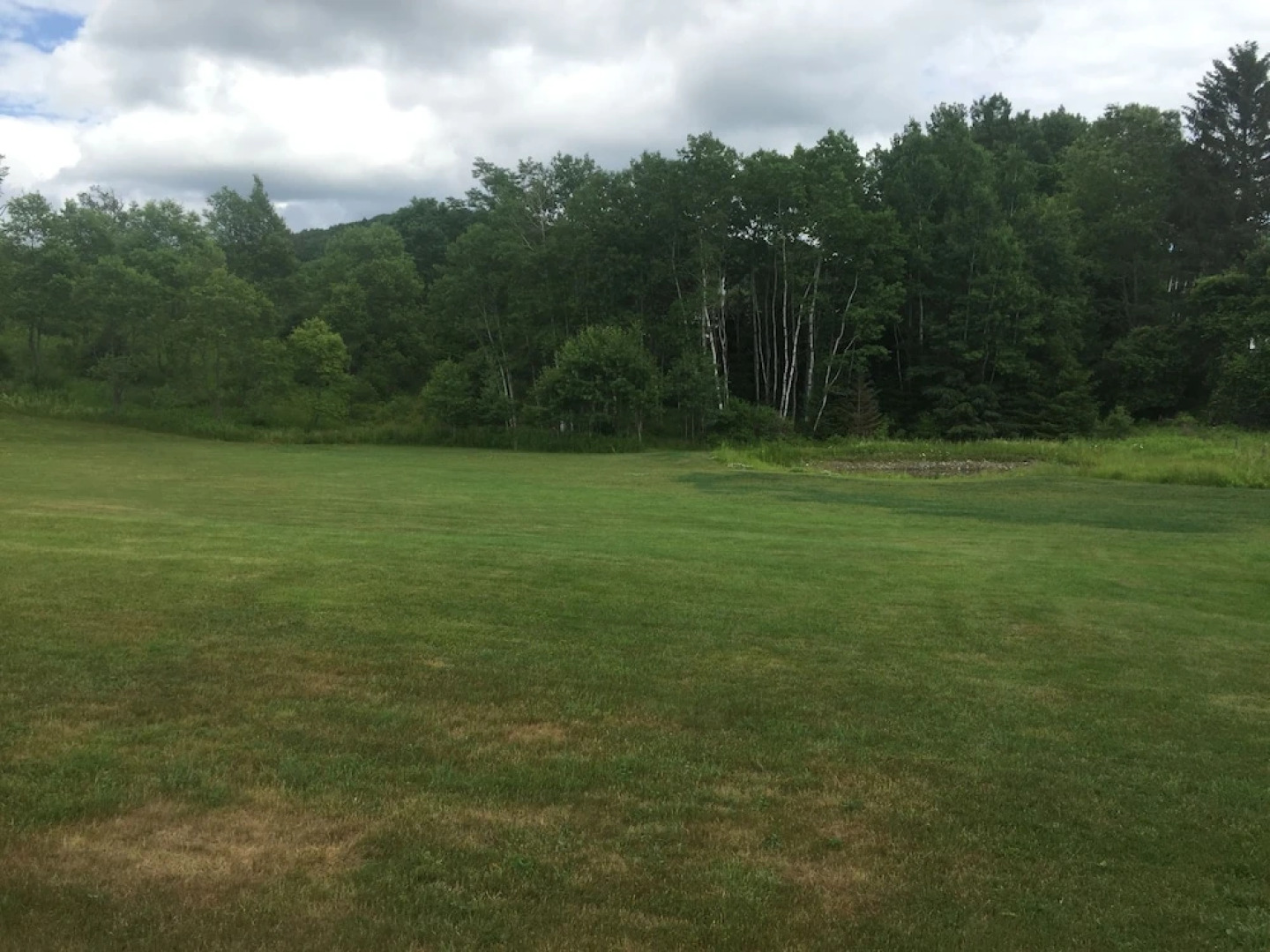 Major League Motor Inn