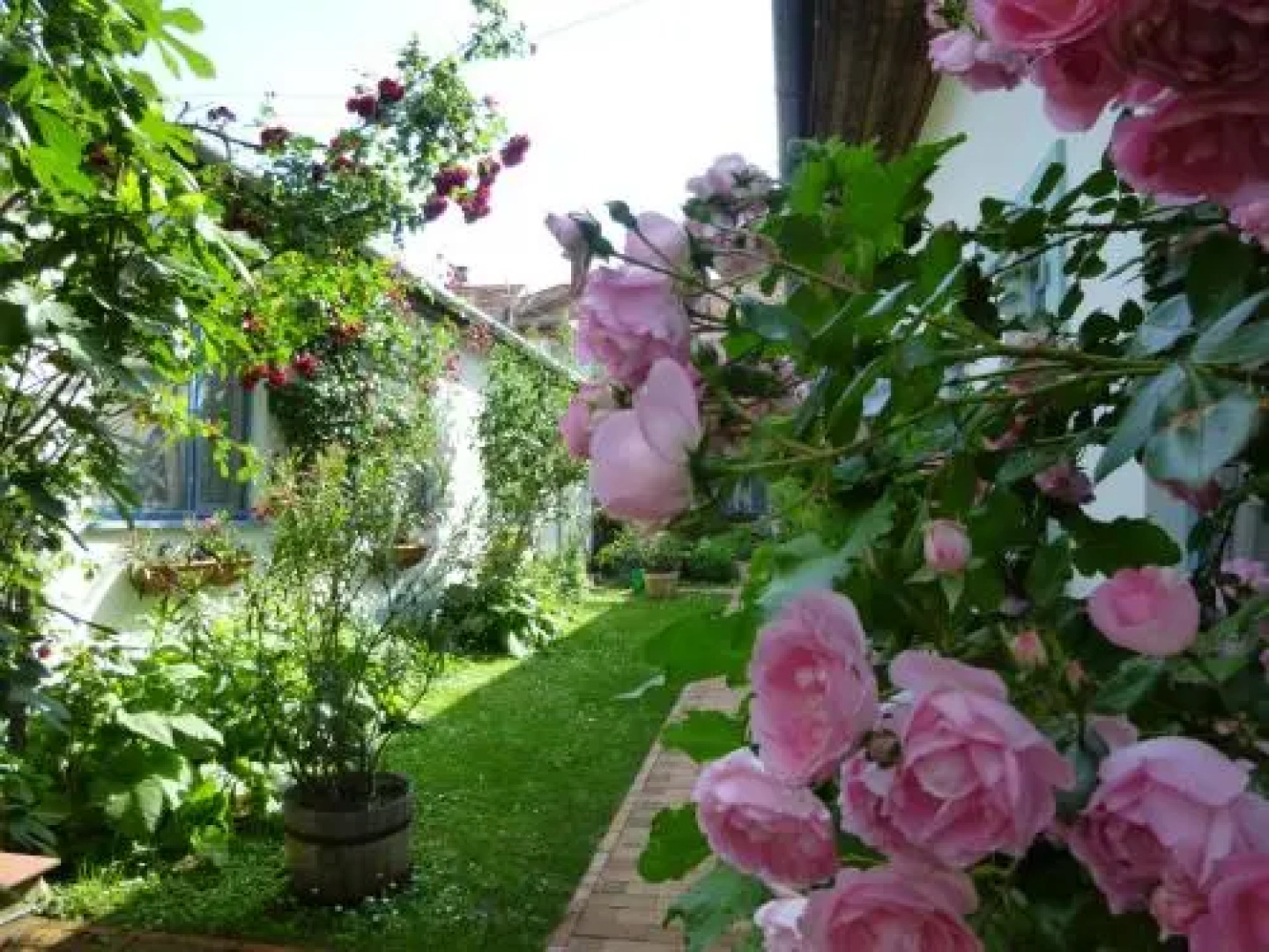 Stieglerhof Apartments