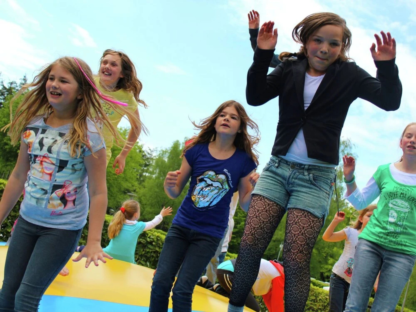 Characteristic house with a garden, surrounded by forest