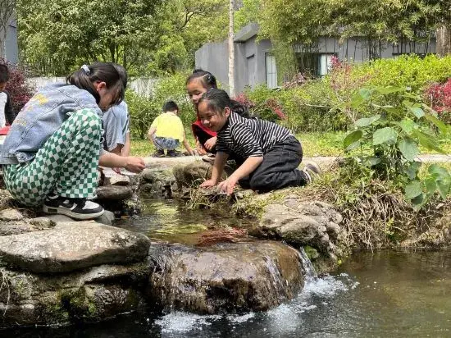 Yingxi Peak Forest Corridor Cuiying Residence