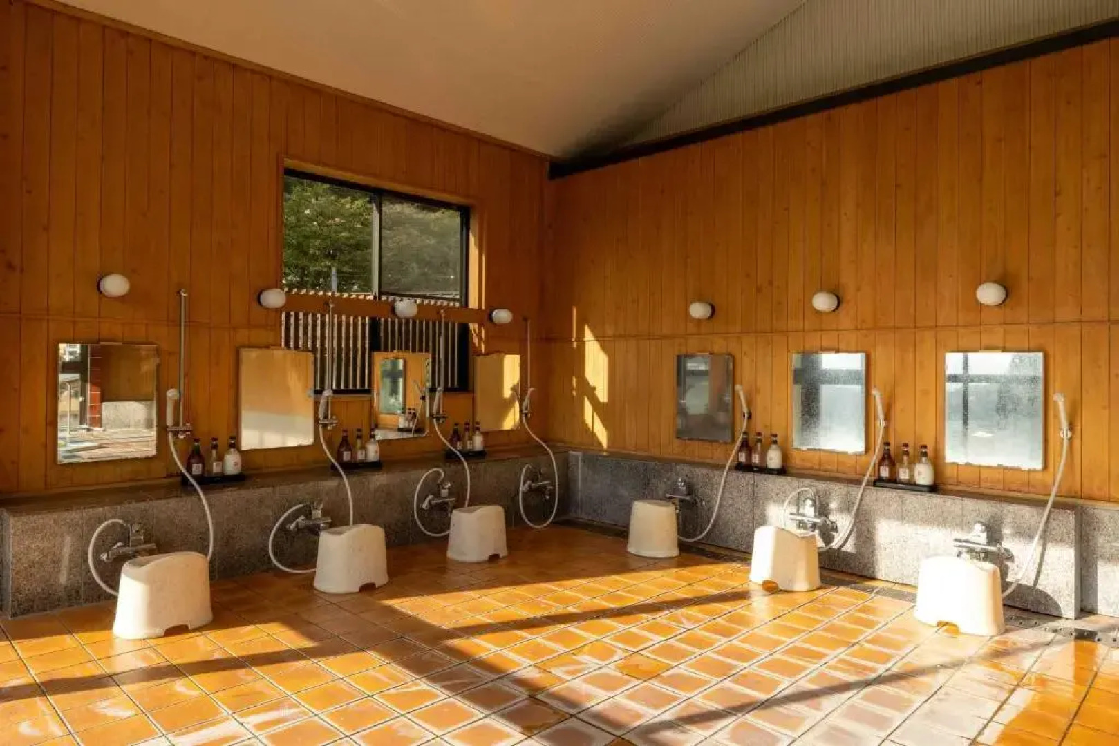 Nozawa View Hotel Shimataya