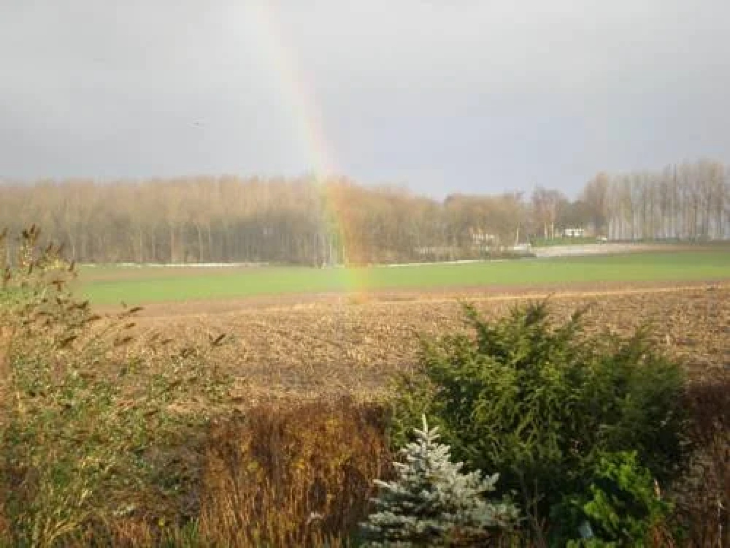 B&B La Passarelle-Hooghe Crater