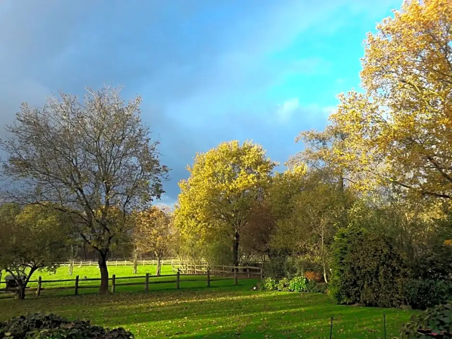 Het Geheim Van Merselo