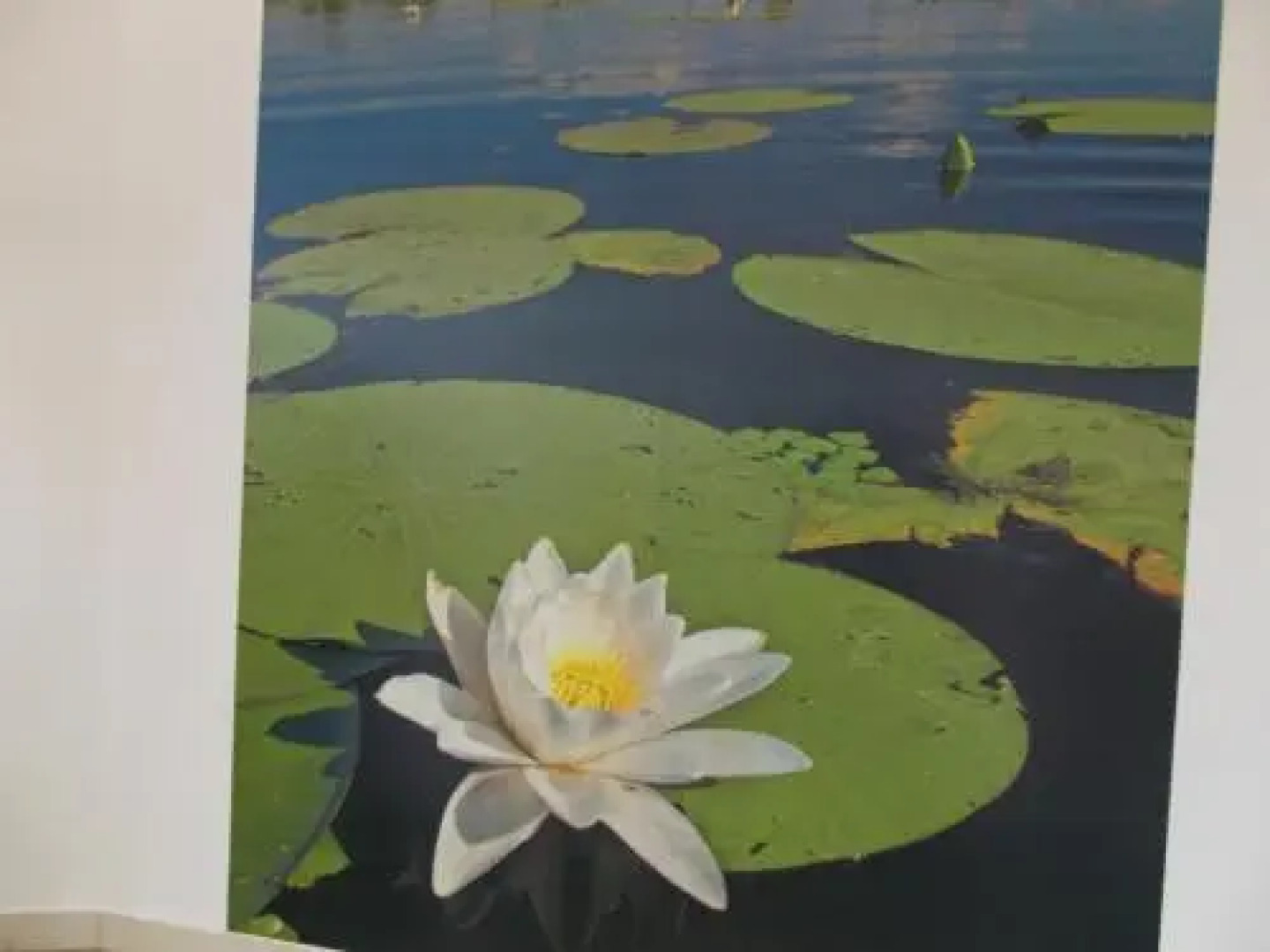 Szoke Tisza Vendeghaz