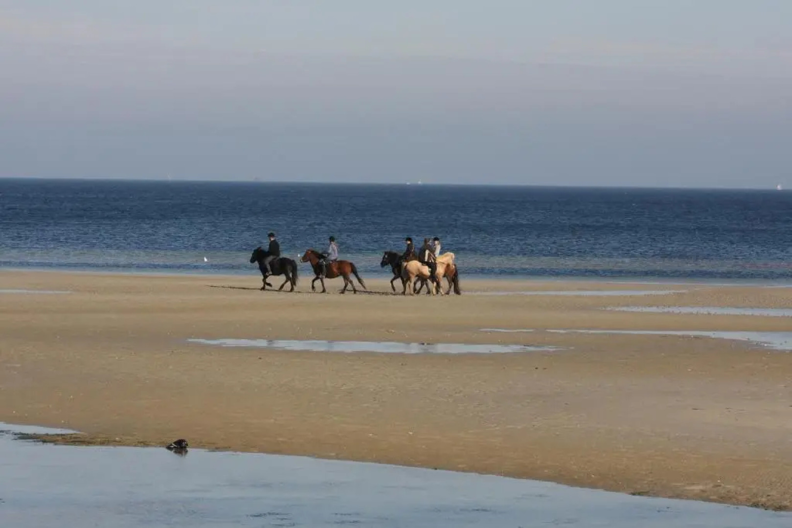 Hotelanlage Tarnewitzer Hof