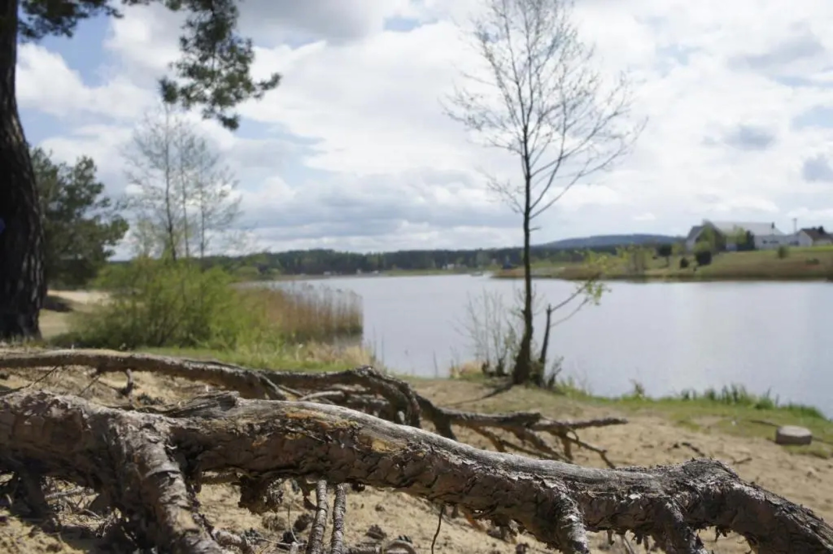 apartament LeśnaCedzyna