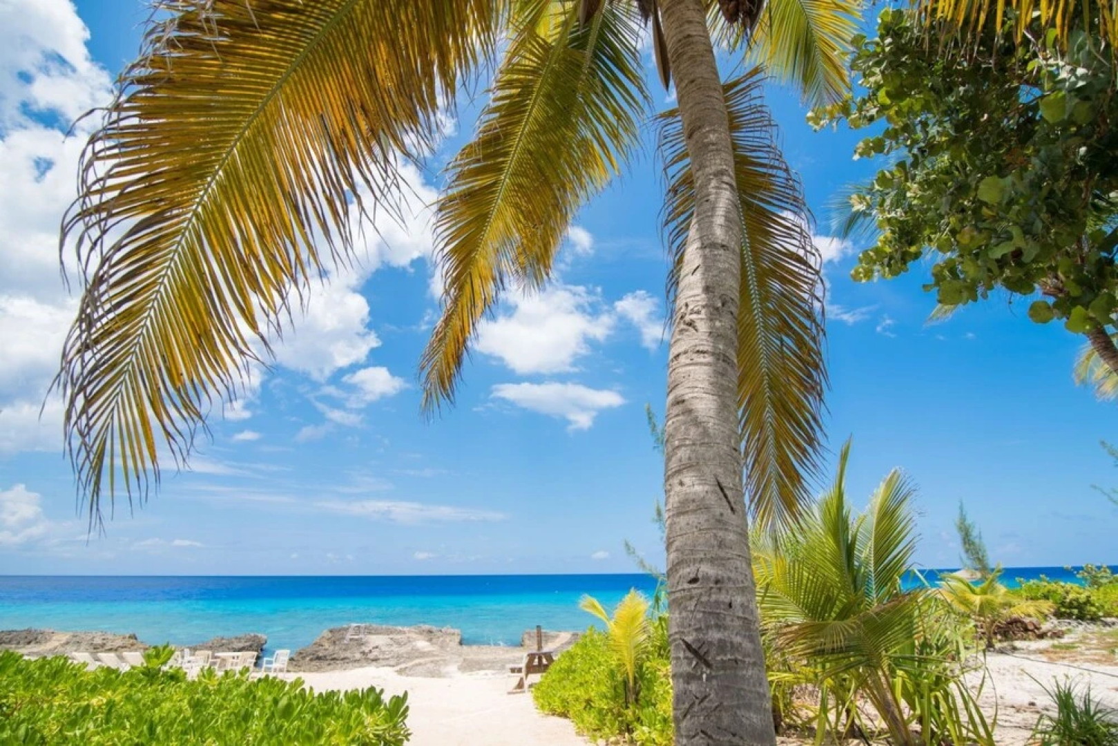 Coconut Bay by Cayman Villas