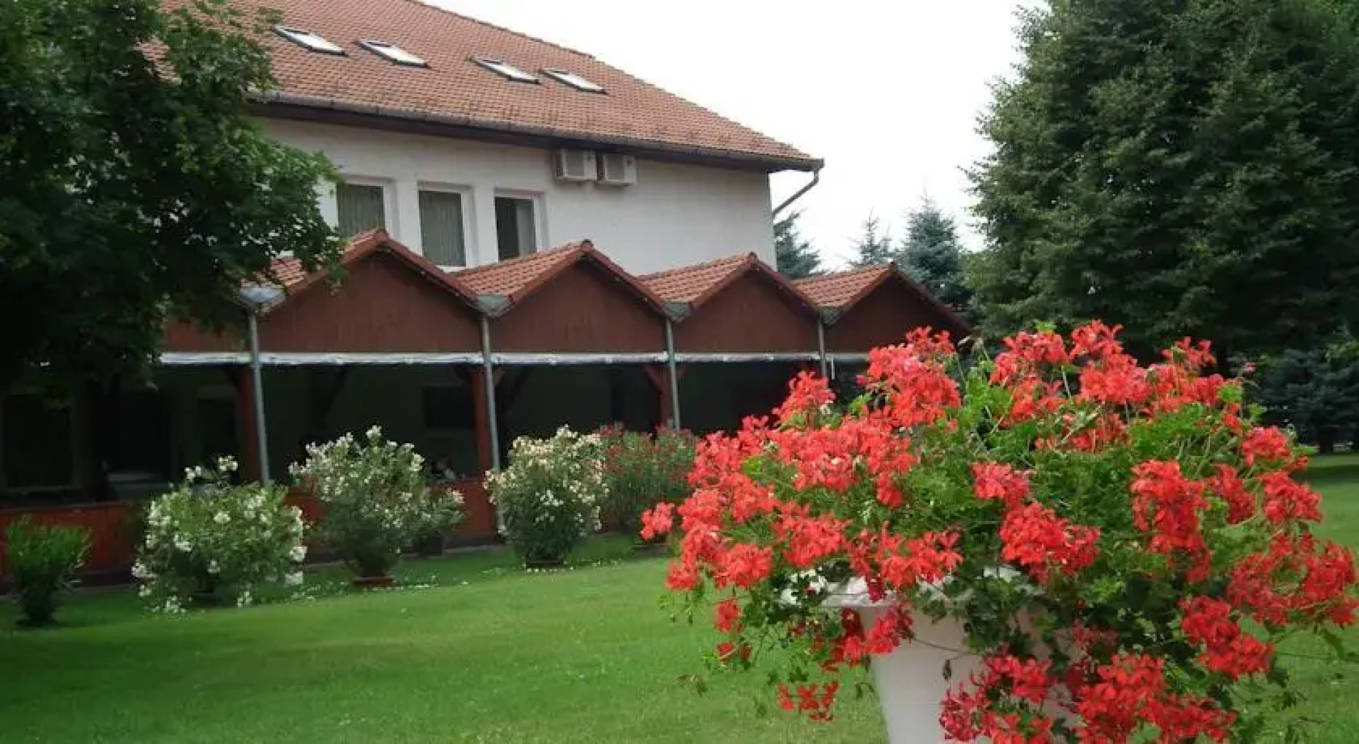 T.G.-Virágdekor Ifjúsági Szálló