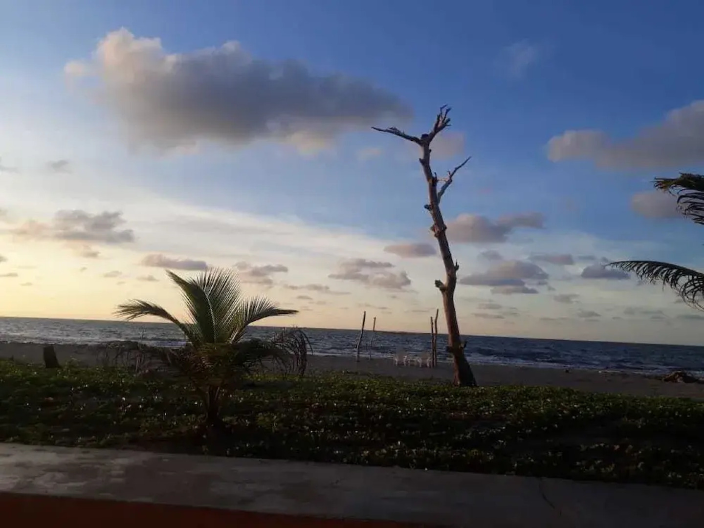 Hotel Playa De Los Venados