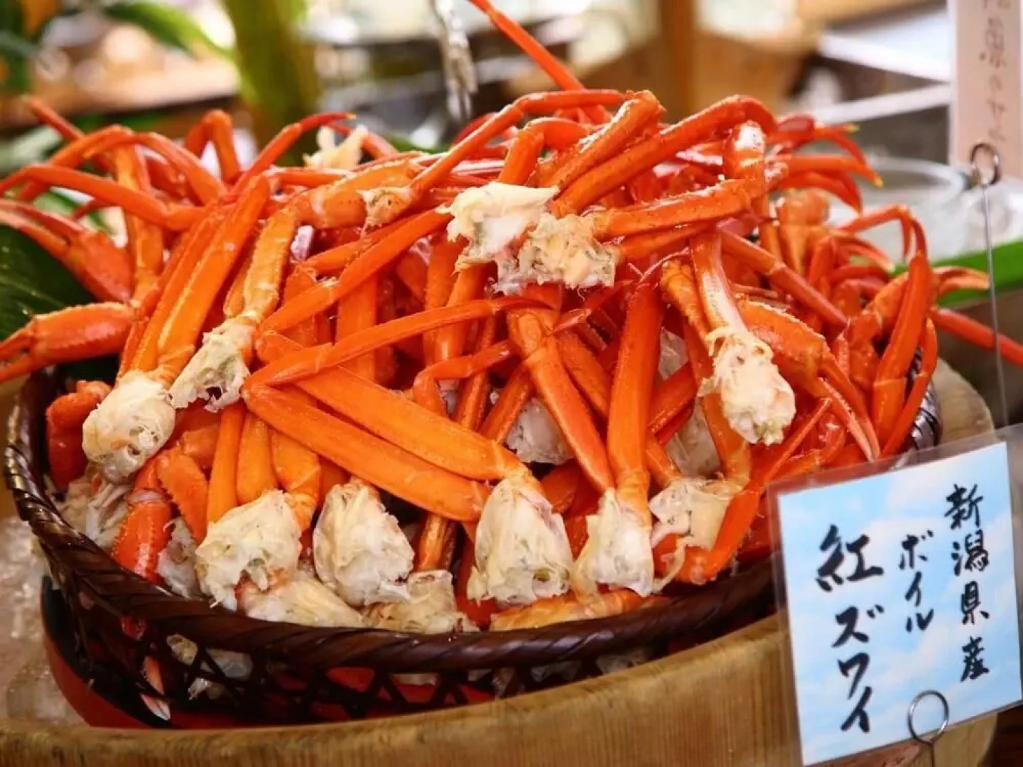 Guest House FUJI-HAKONE LAND - Hostel