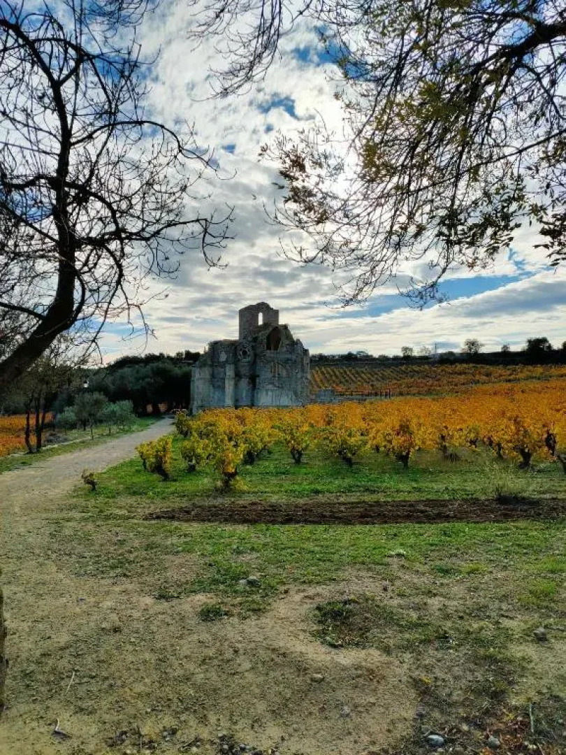 appartement chaleureux et cosy