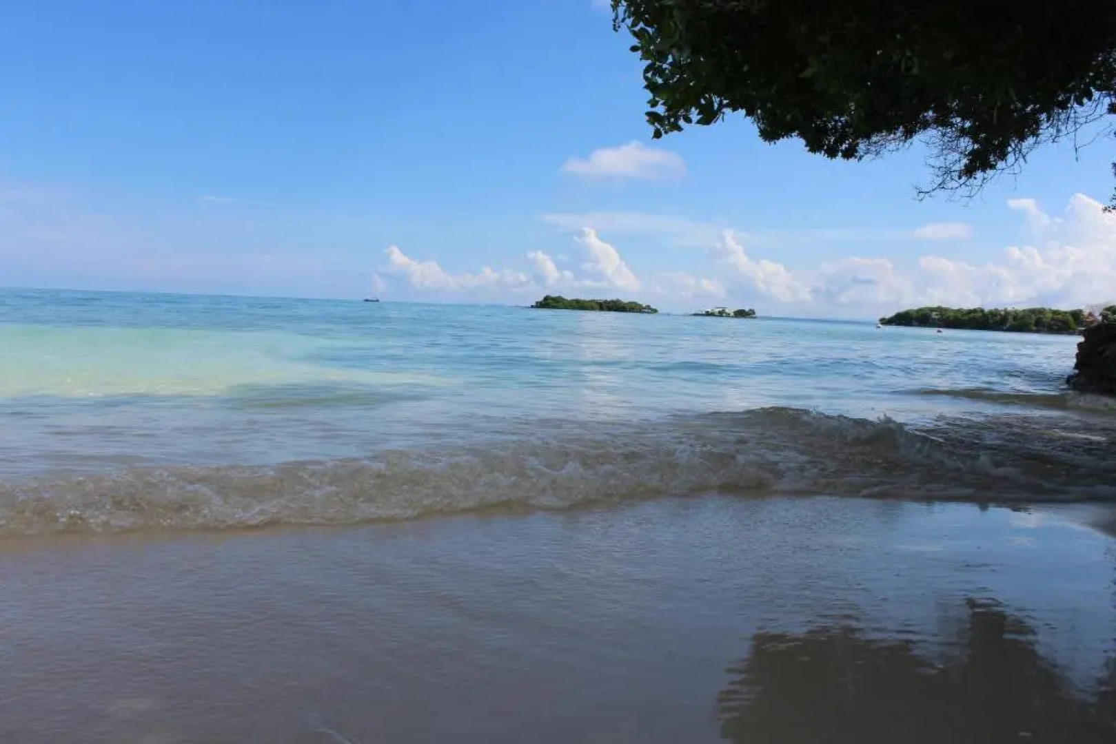 Eco Hotel Las Palmeras