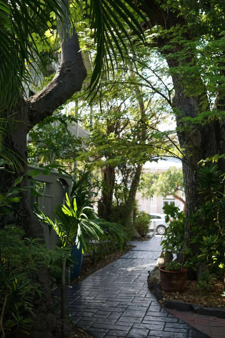 The Banyan Resort