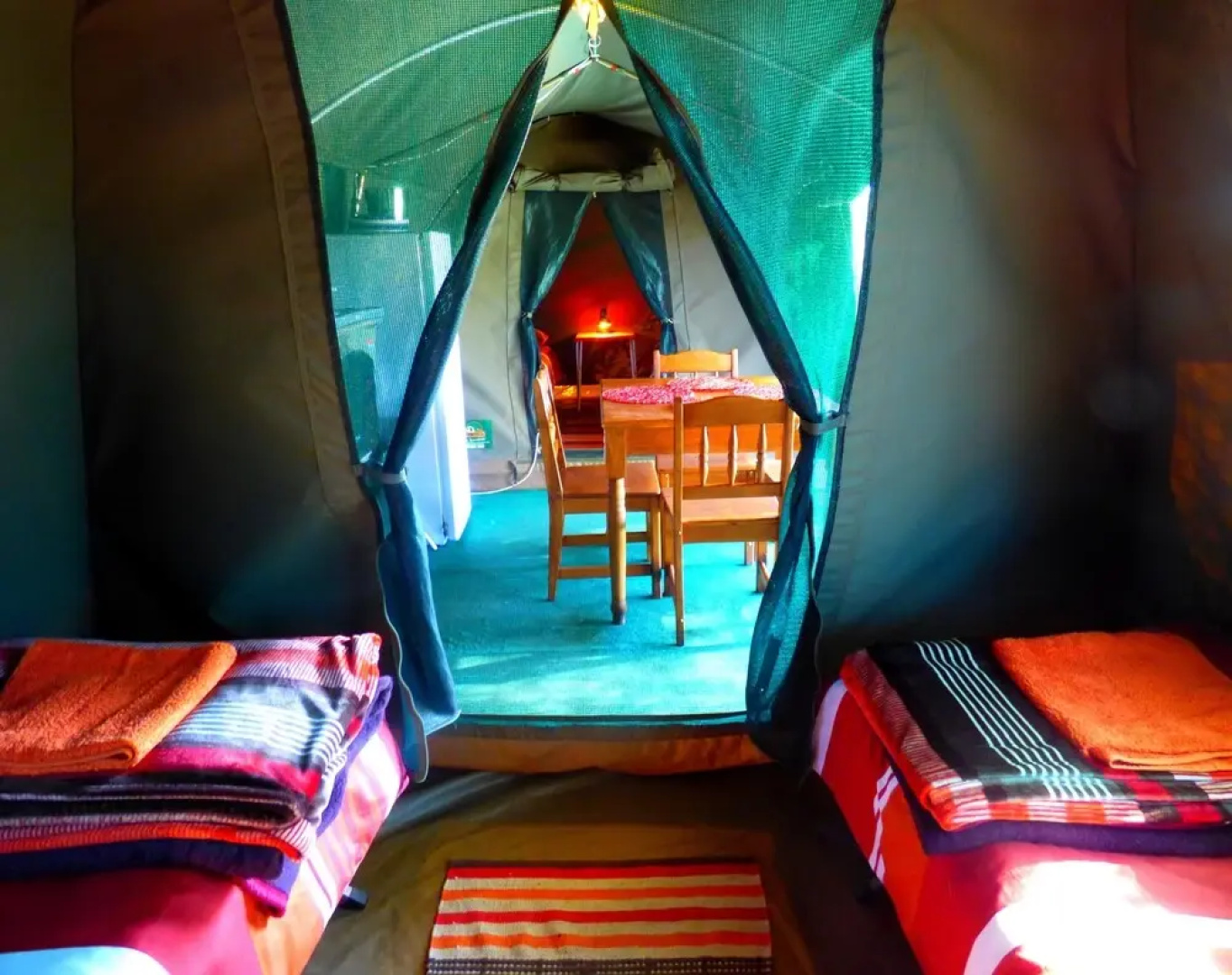 Thorn Tree Bush Camp