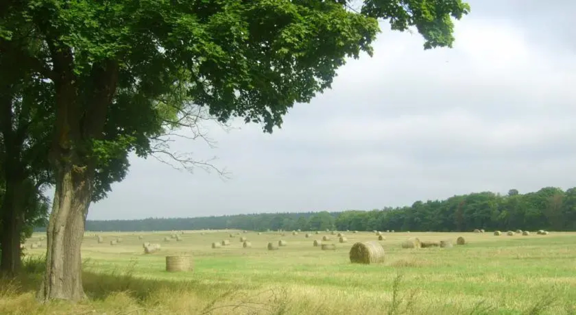 Gospodarstwo Agroturystyczne Leśniczówka