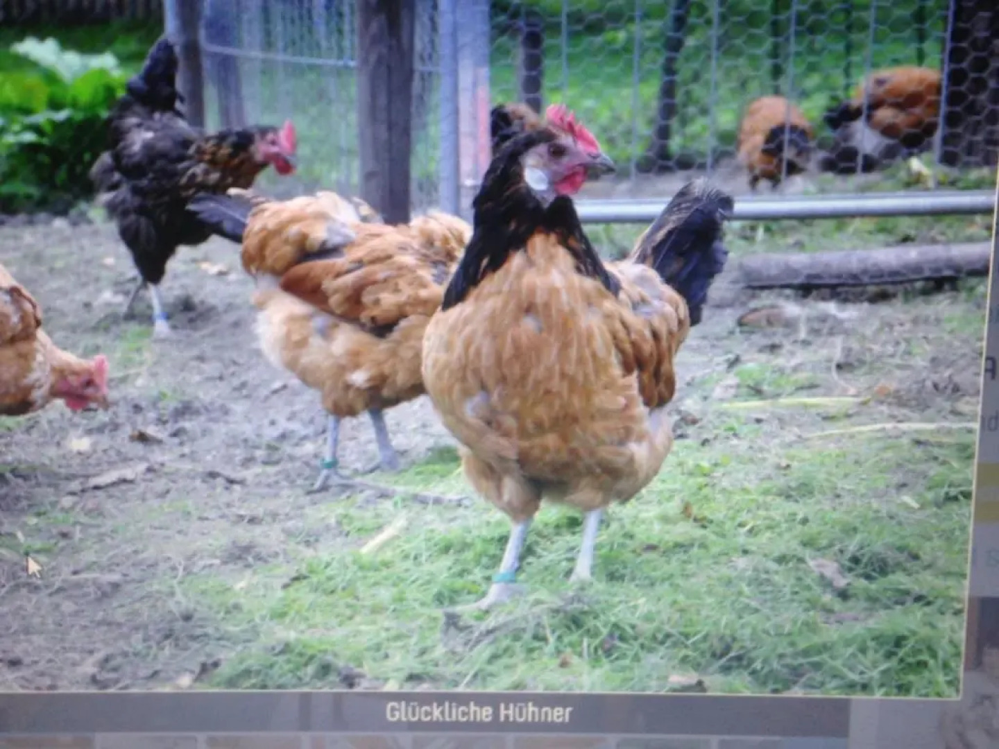 Ferienwohnung Dietlinde