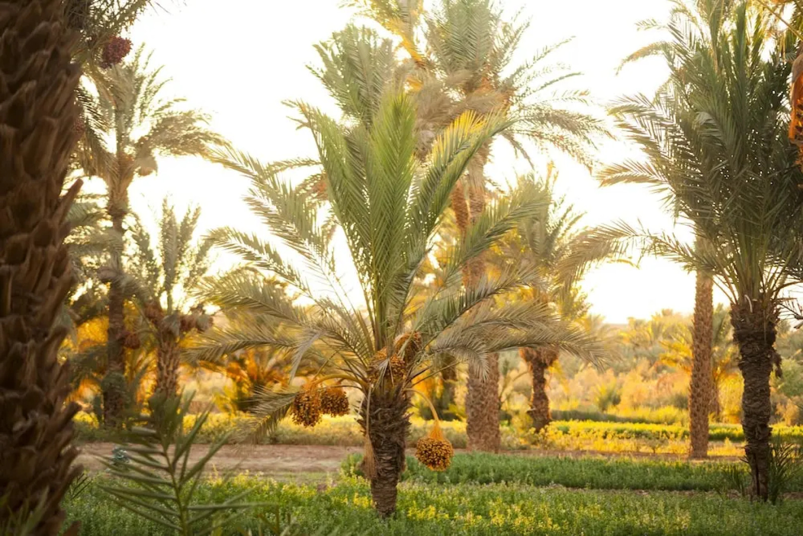 House With 7 Bedrooms in Zagora, With Pool Access, Terrace and Wifi