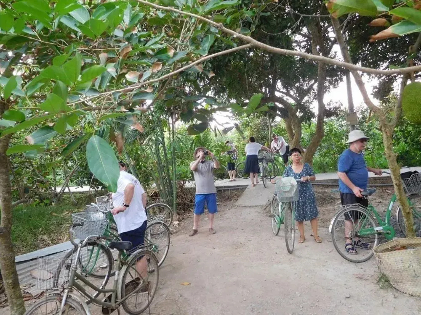 Mekong Eco Lodge Bungalow