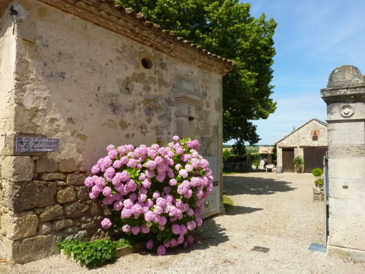 Au Bonheur d'Alphonse