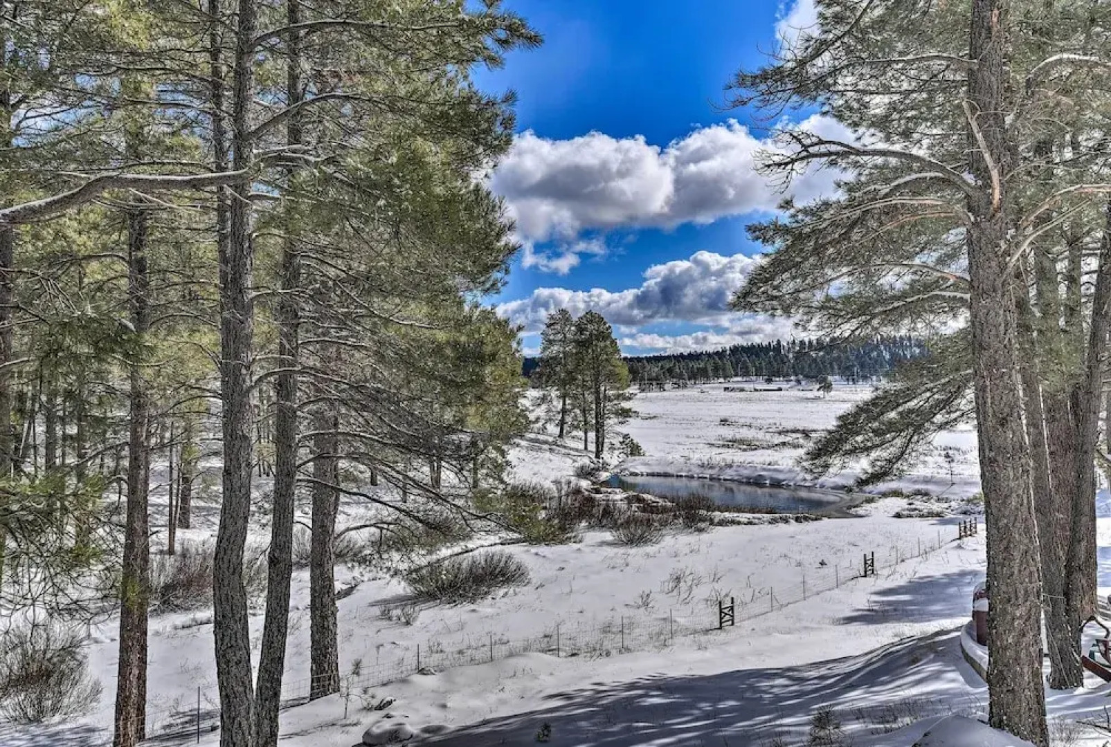 Renovated Mountain Home: EV Chargers & Great Views