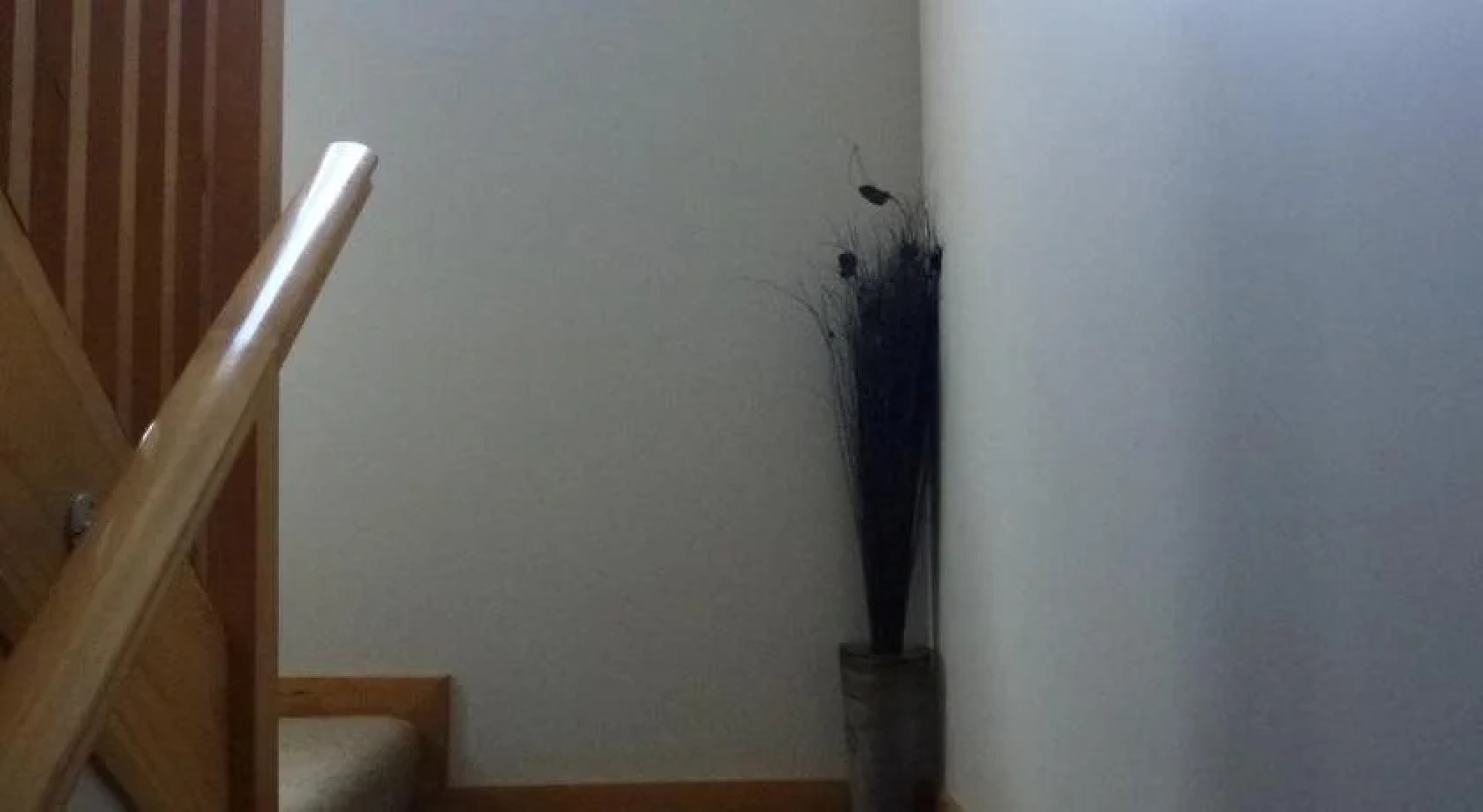 Cosy Kiwi Bed  Breakfast