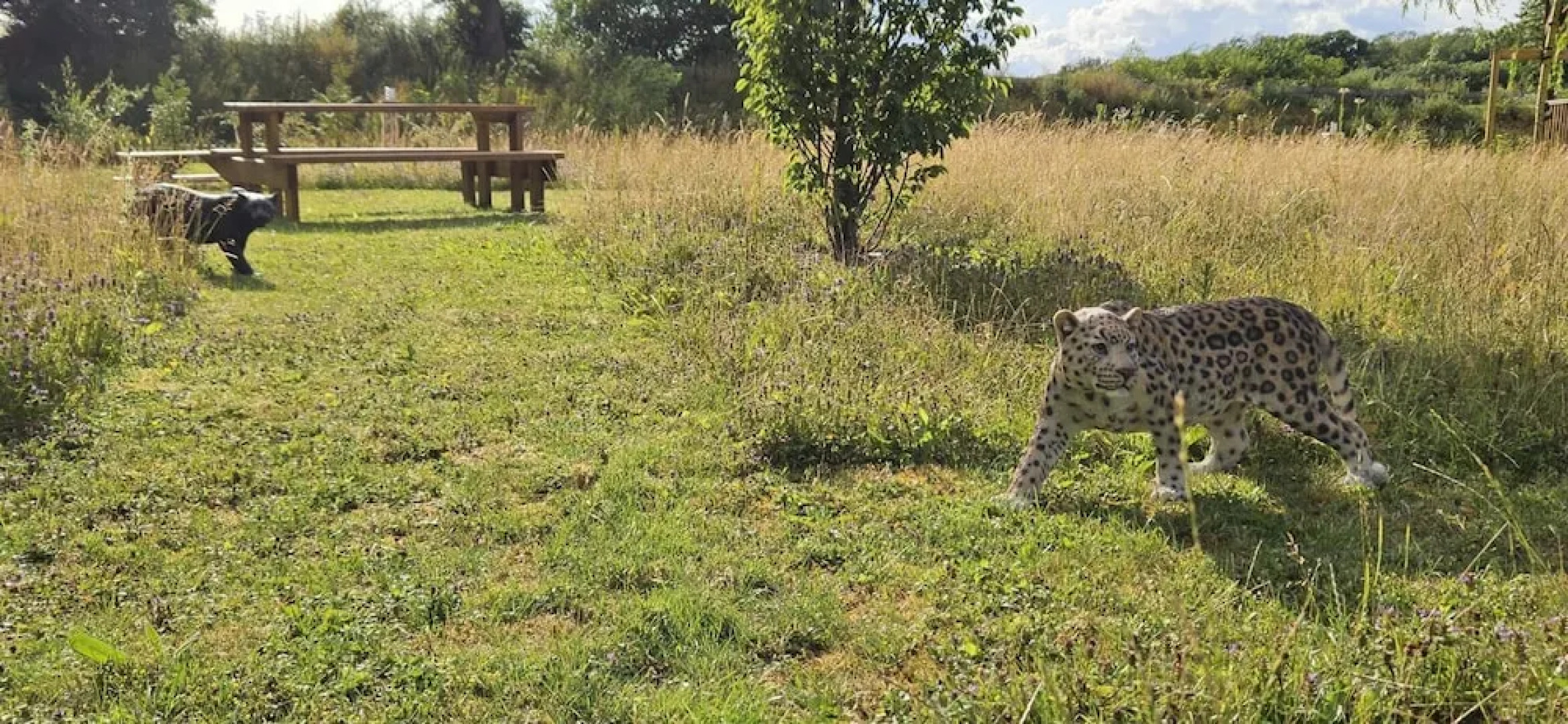 Inviting 1-bed Cabin in Newmarket