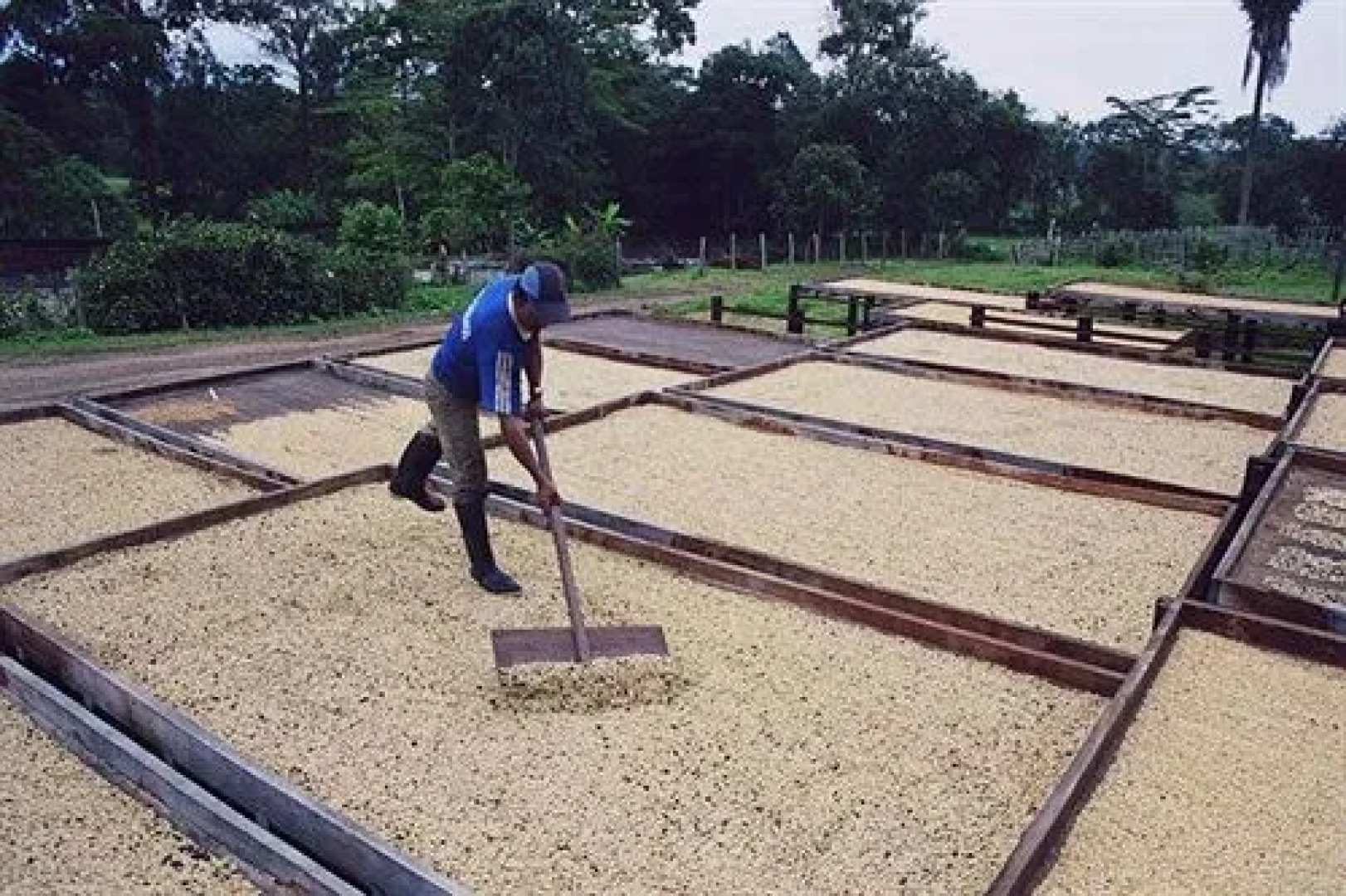 Hacienda El Roble Hotel