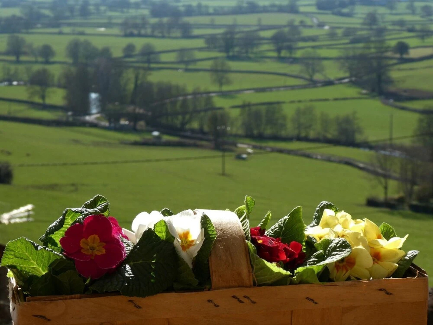 Cozy Holiday Home in Joncy with Valley View