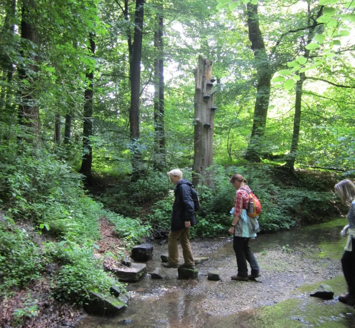 Havergoh Wander- & Fahrrad-Hotel