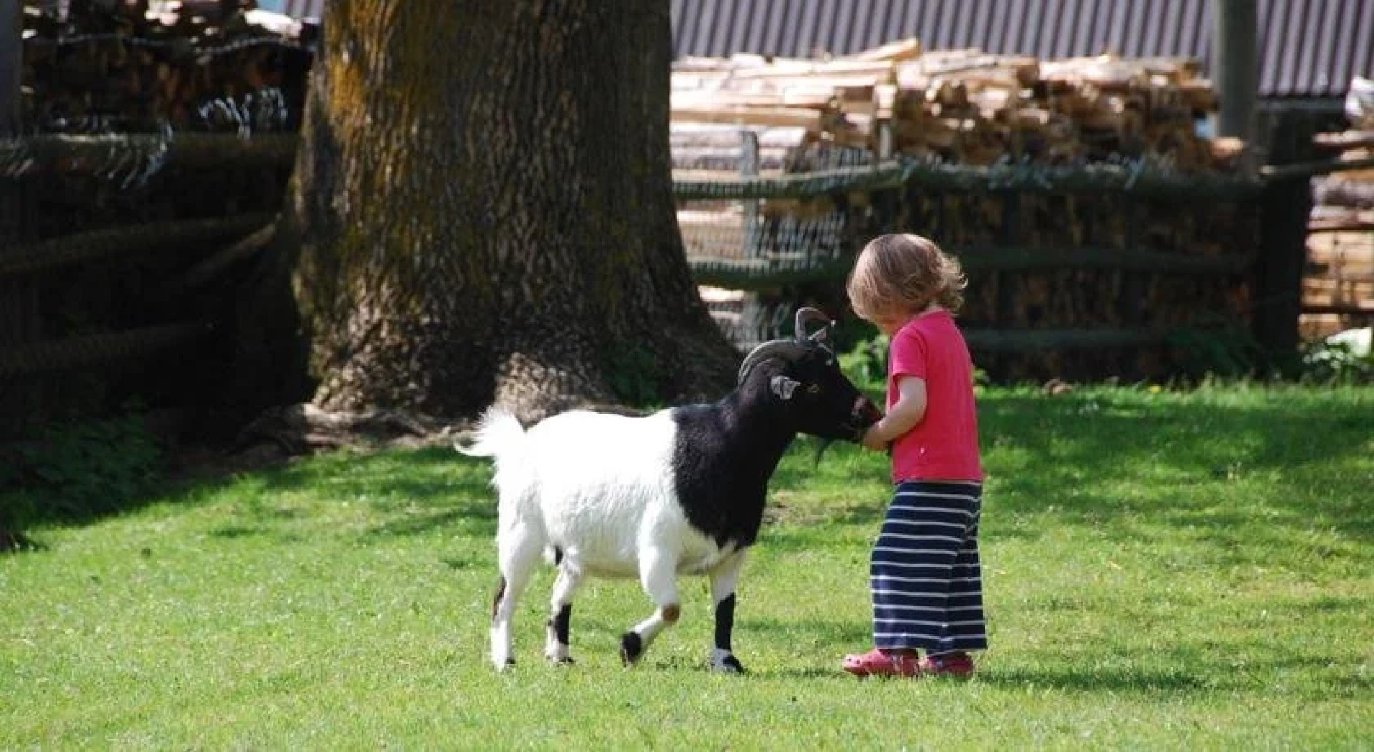 Baby- und Familienbauernhof Glawischnig-Hofer