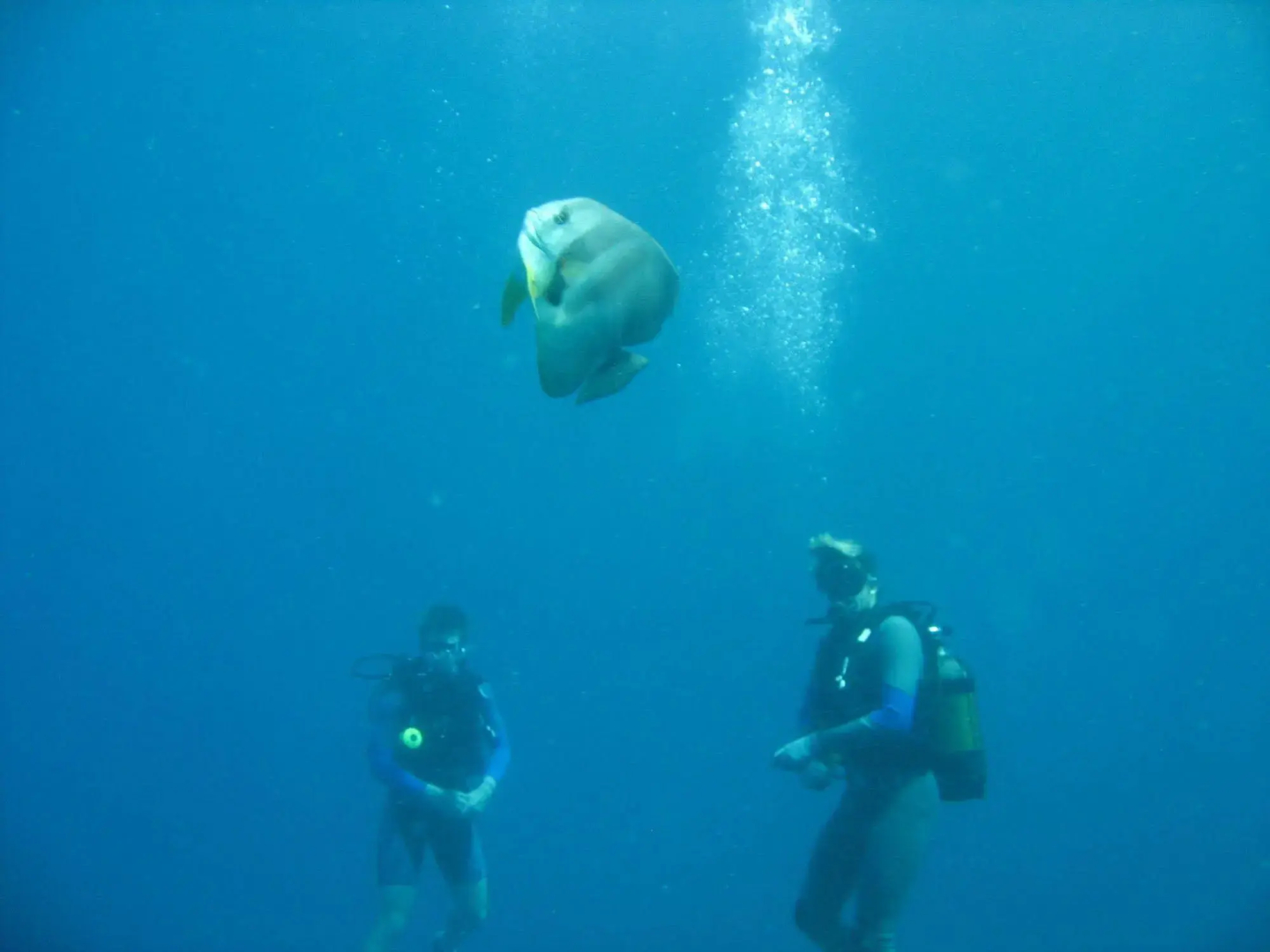 Dugong Beach Lodge