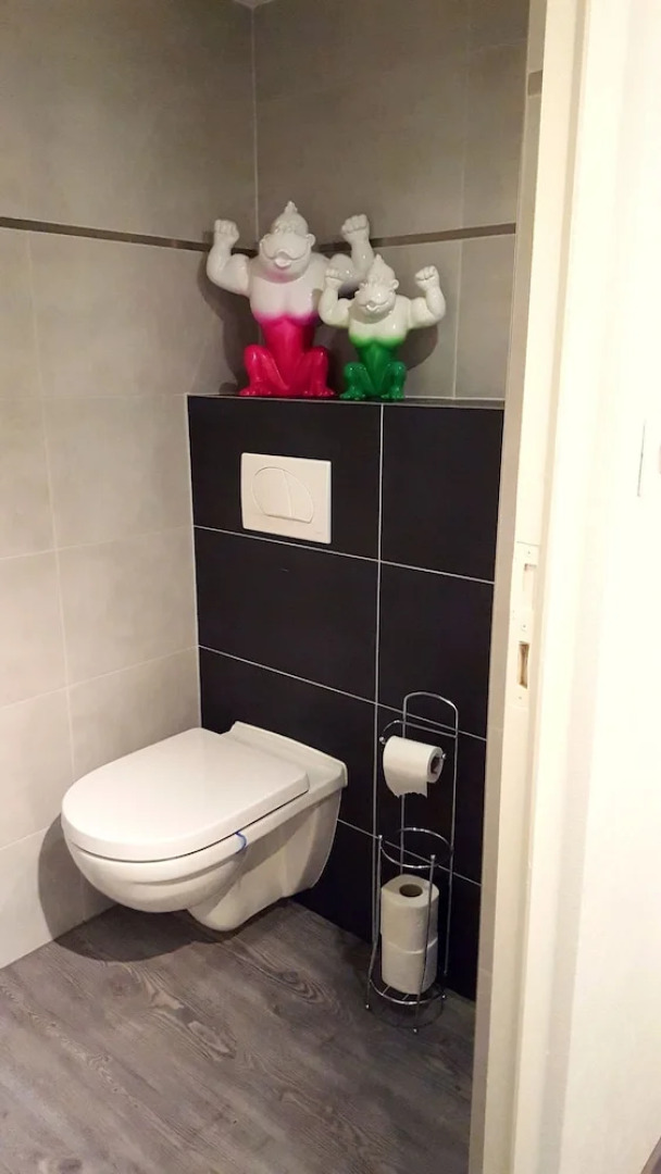 Les Appartements d'Alicia Obernai