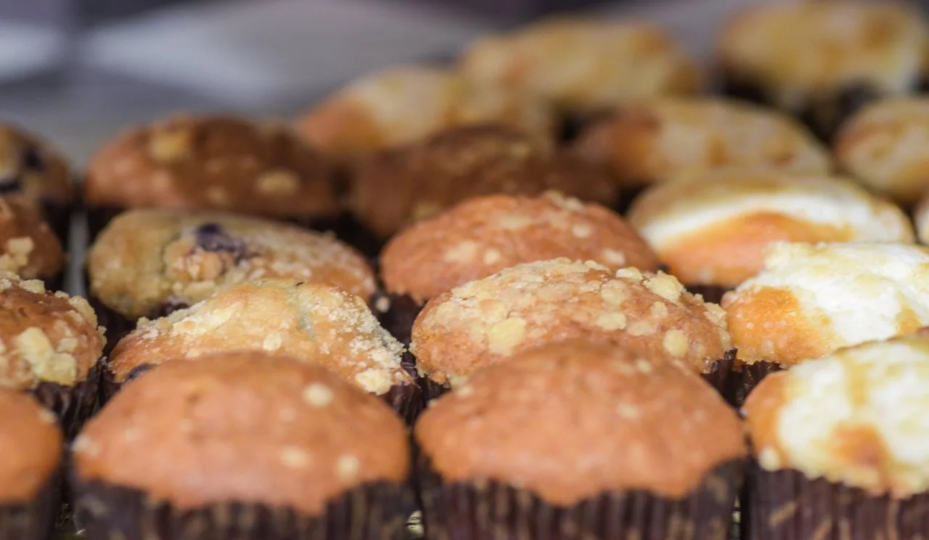 Holiday Inn Express & Suites Foley by IHG