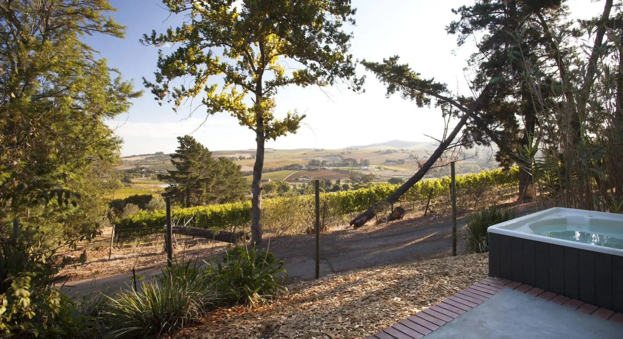 Sugarbird Manor at Protea Heights Farm