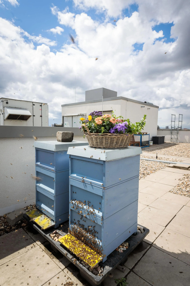 Radisson Blu Hotel, Mannheim