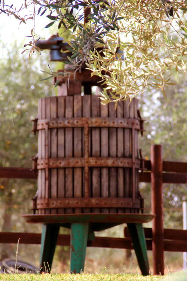 Agriturismo La Piana