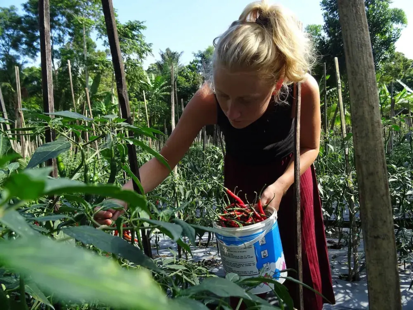 Tetebatu Indah Homestay