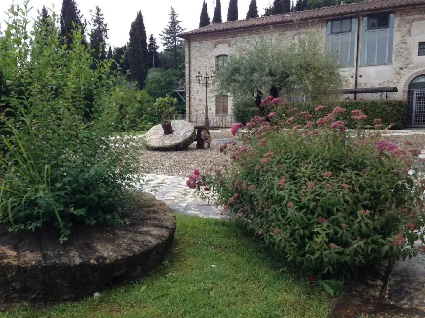 Lady Frantoio Toscano