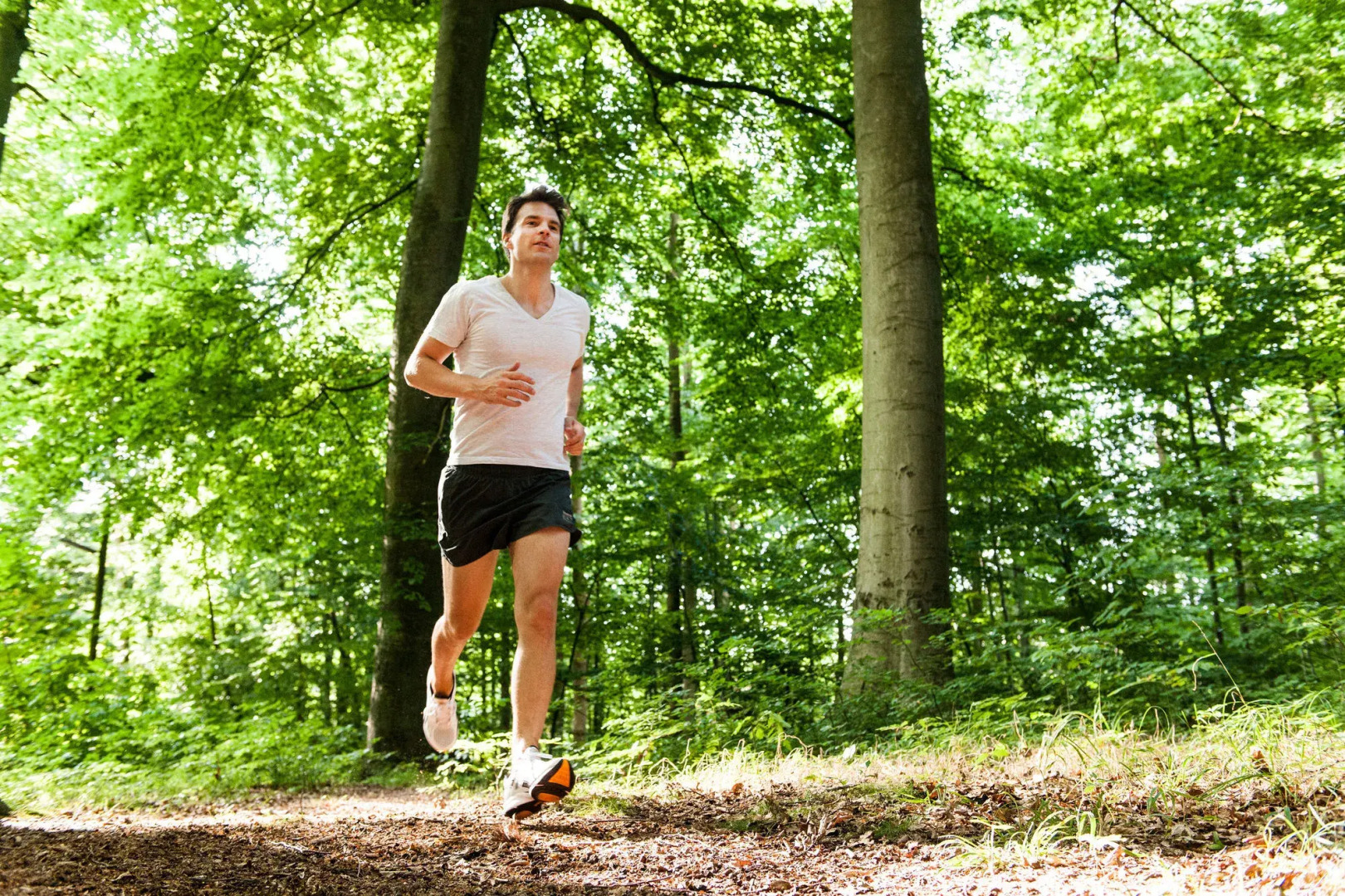 Hotel Birke, Ringhotel Kiel