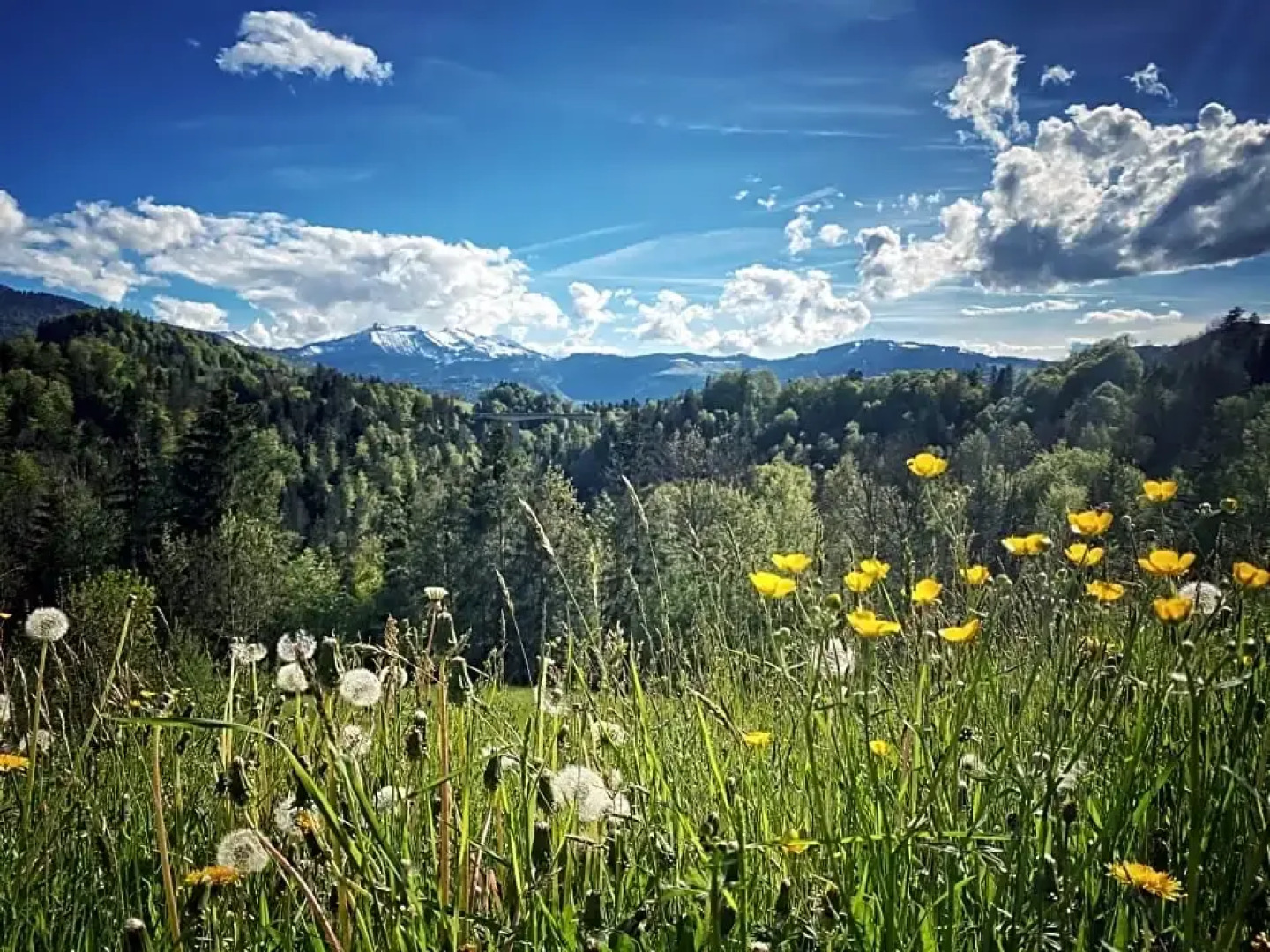 Hotel Gasthof Wälderhof
