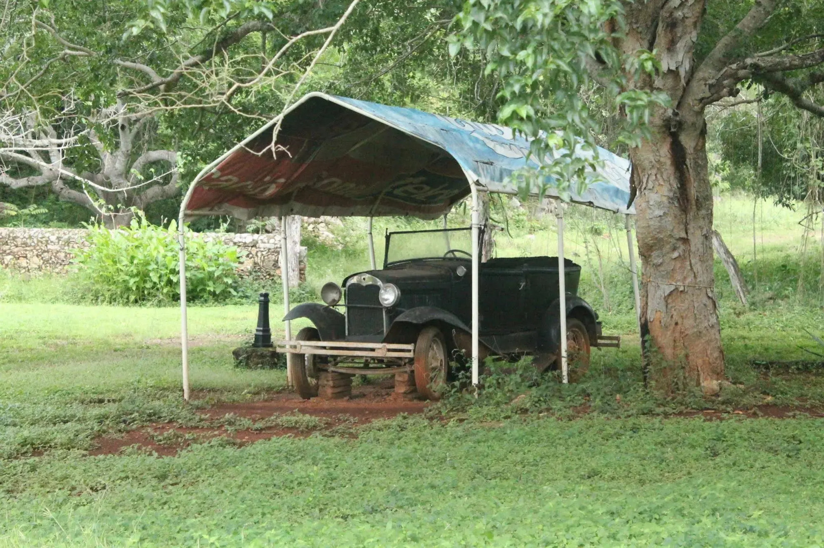 Hacienda Blanca Flor