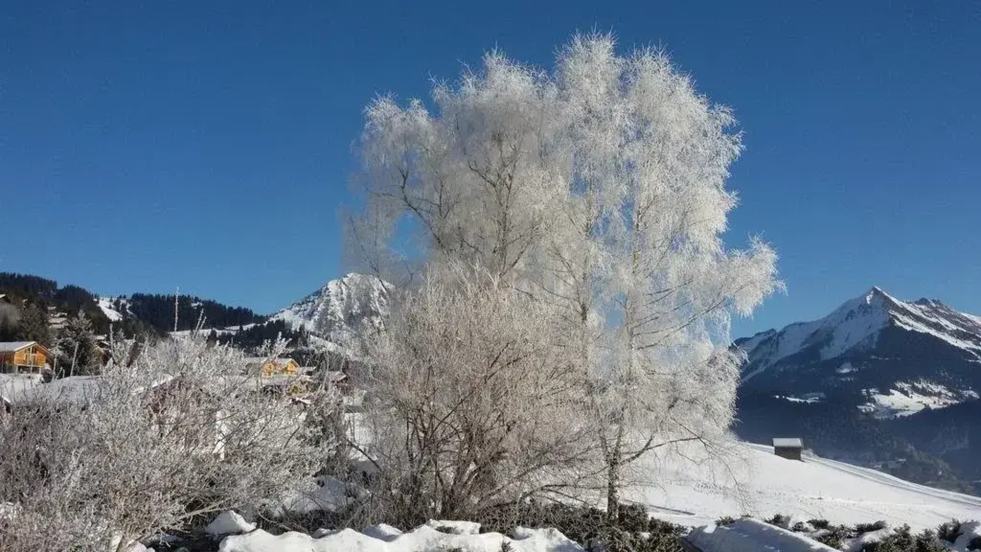 Chalet Ermina Bed & Breakfast