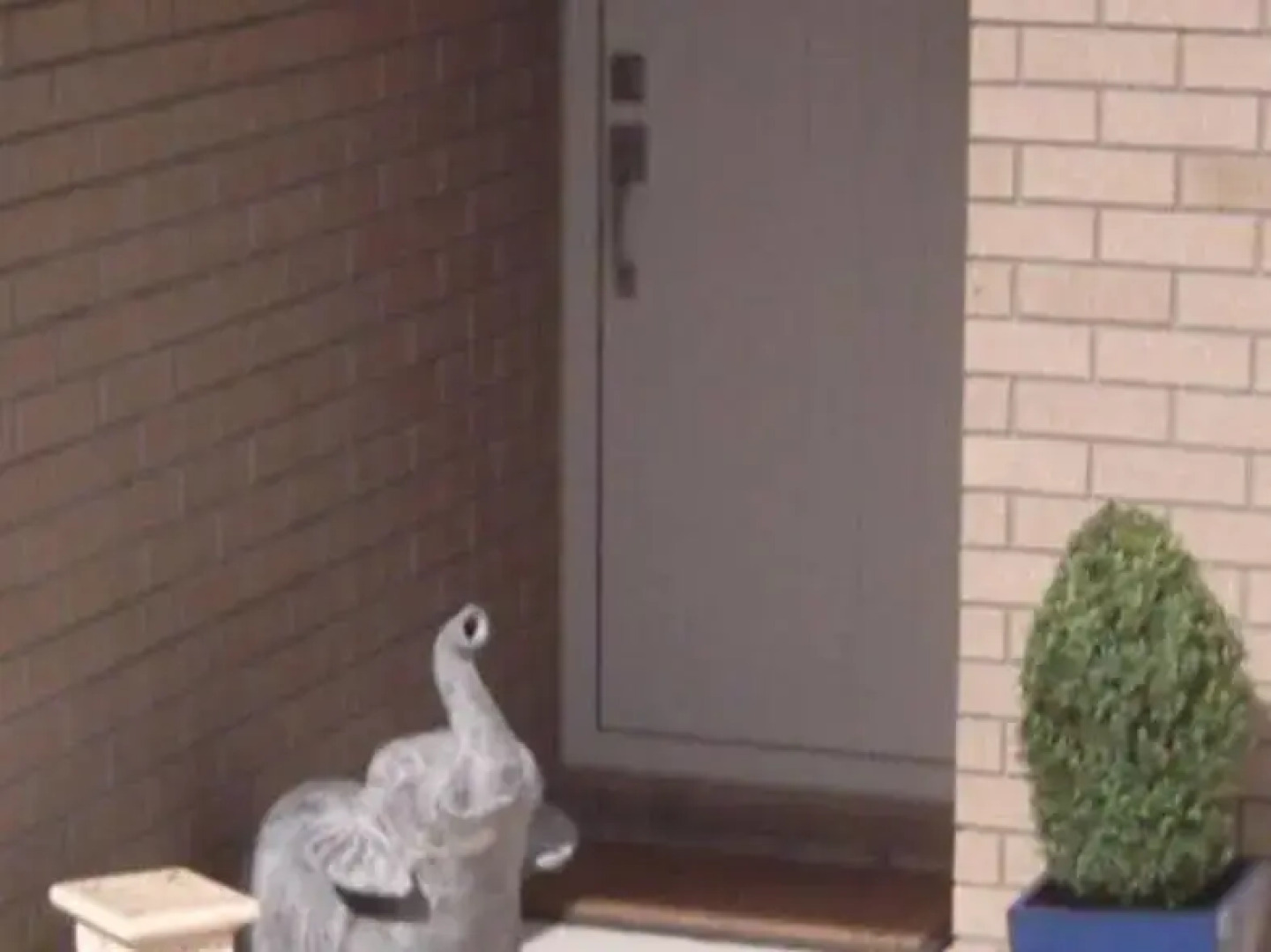 Sun Valley Bed & Breakfast