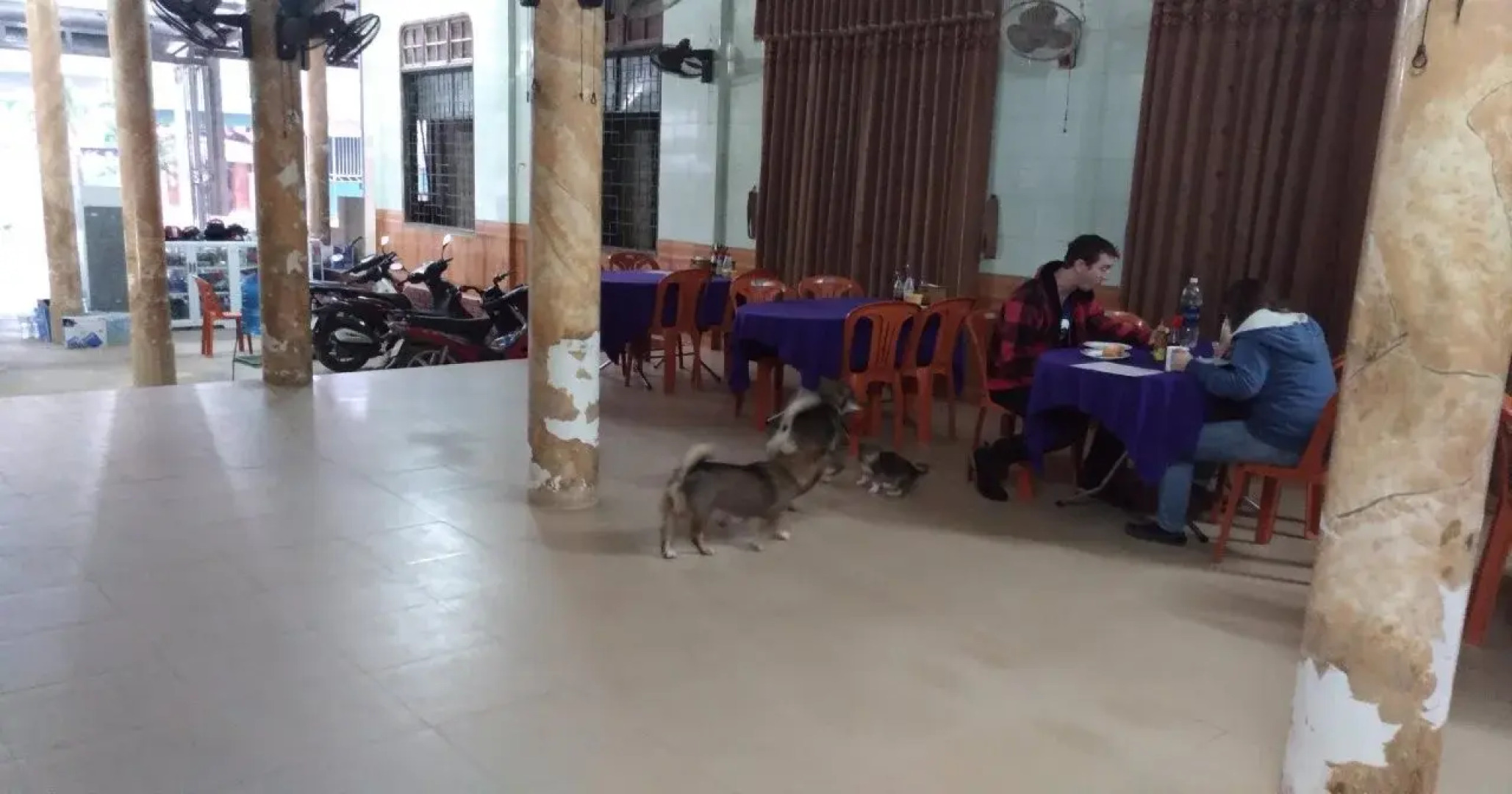 Thao Nguyen Homestay